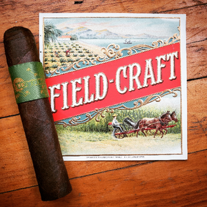ACCOMPLICE MADURO TORO (6 x 54) - GREEN BAND