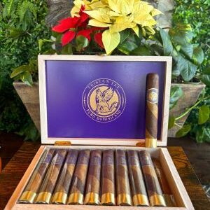 Open box of Tristan Double Wrapp cigars with purple lid, gold-banded cigars displayed, decorated with red and yellow poinsettias.