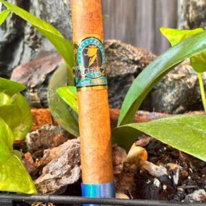 Harlem The Brother cigar with blue band resting on soil among green plant leaves and wood chips outdoors.