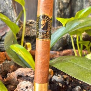 Harlem the Brother Habano Ecuador cigar displayed on soil with green plant leaves in background