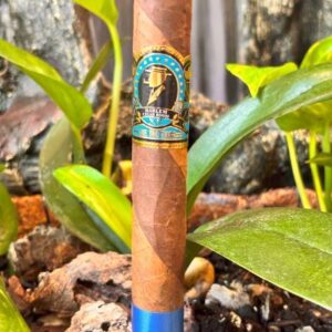 Harlem The Brother cigar with blue barberpole band displayed among green plant leaves and soil outdoors.
