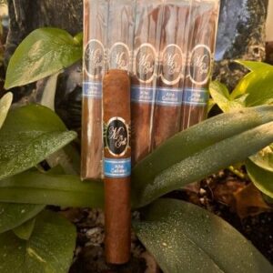 M-Gell Maduro cigars displayed in box with one cigar standing upright among green tropical leaves and tree bark background.