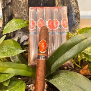M-Gell Habano cigars displayed in packaging surrounded by green tropical leaves and dark wood backdrop
